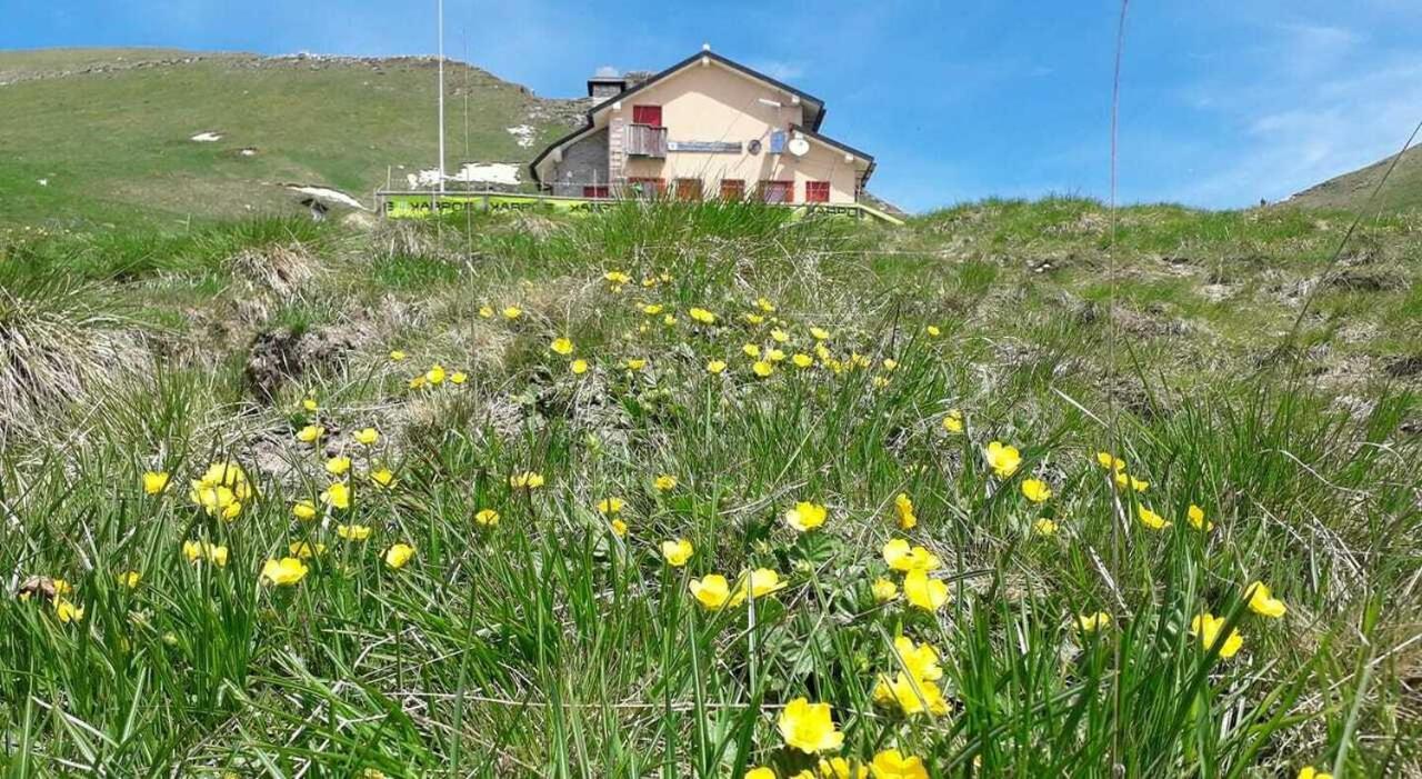 Residenza Letizia Lägenhet Nemeggio Exteriör bild