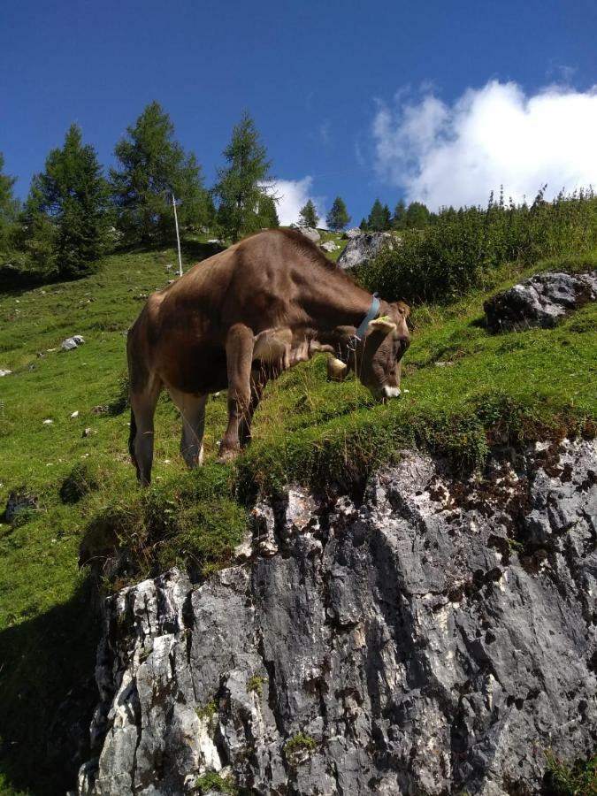 Residenza Letizia Lägenhet Nemeggio Exteriör bild